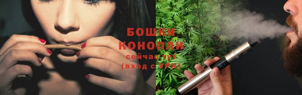 герыч Болотное