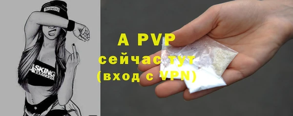 ешки Пересвет