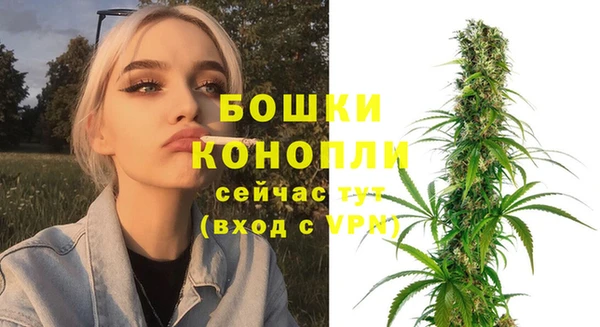 ешки Пересвет