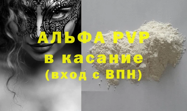ешки Пересвет